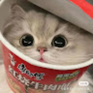 Meet your Posher, Bonnie